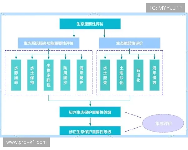 深入解析篮球14秒重置规则的触发机制与判定